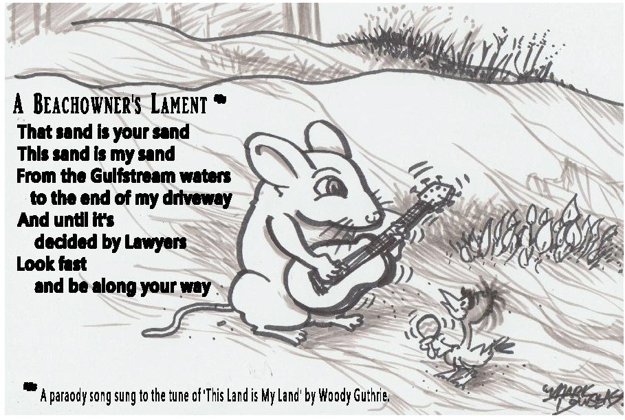 Beach mouse Owner lament jpeg.jpg