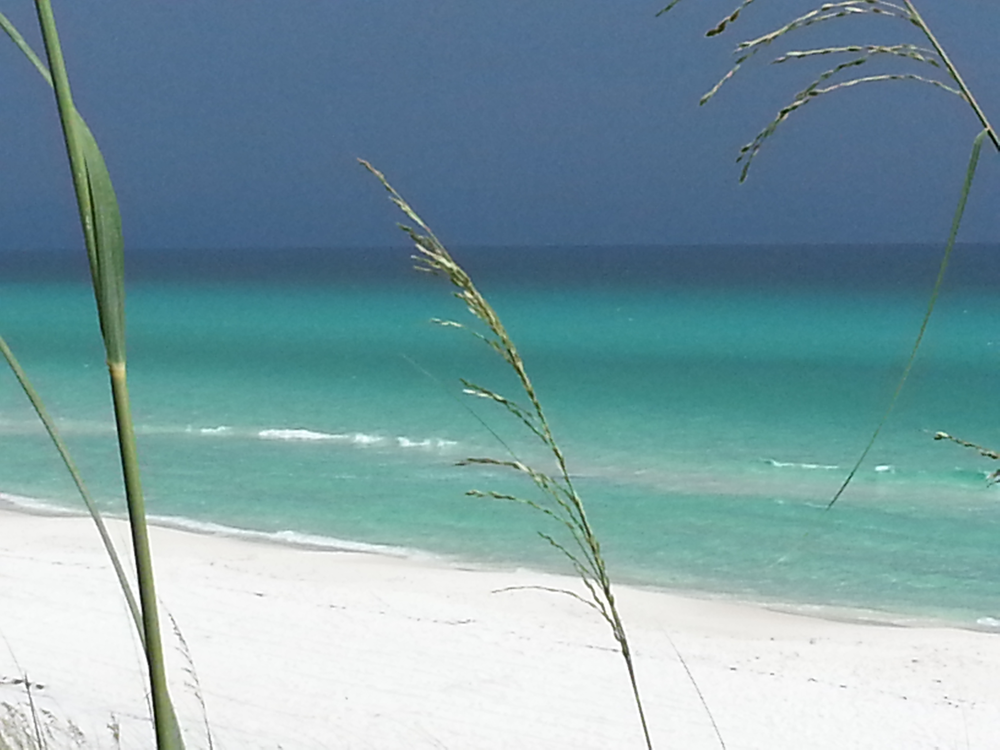 Beach Photo.jpg