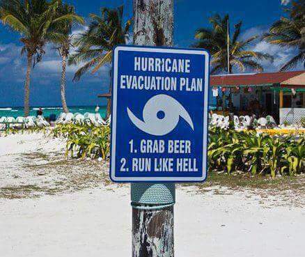 FB_IMG_1440342100663.jpg