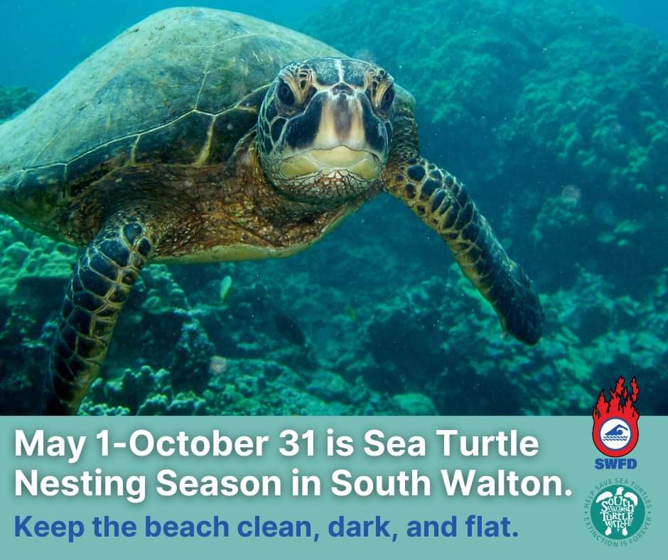 FB_IMG_1682963627078.jpg