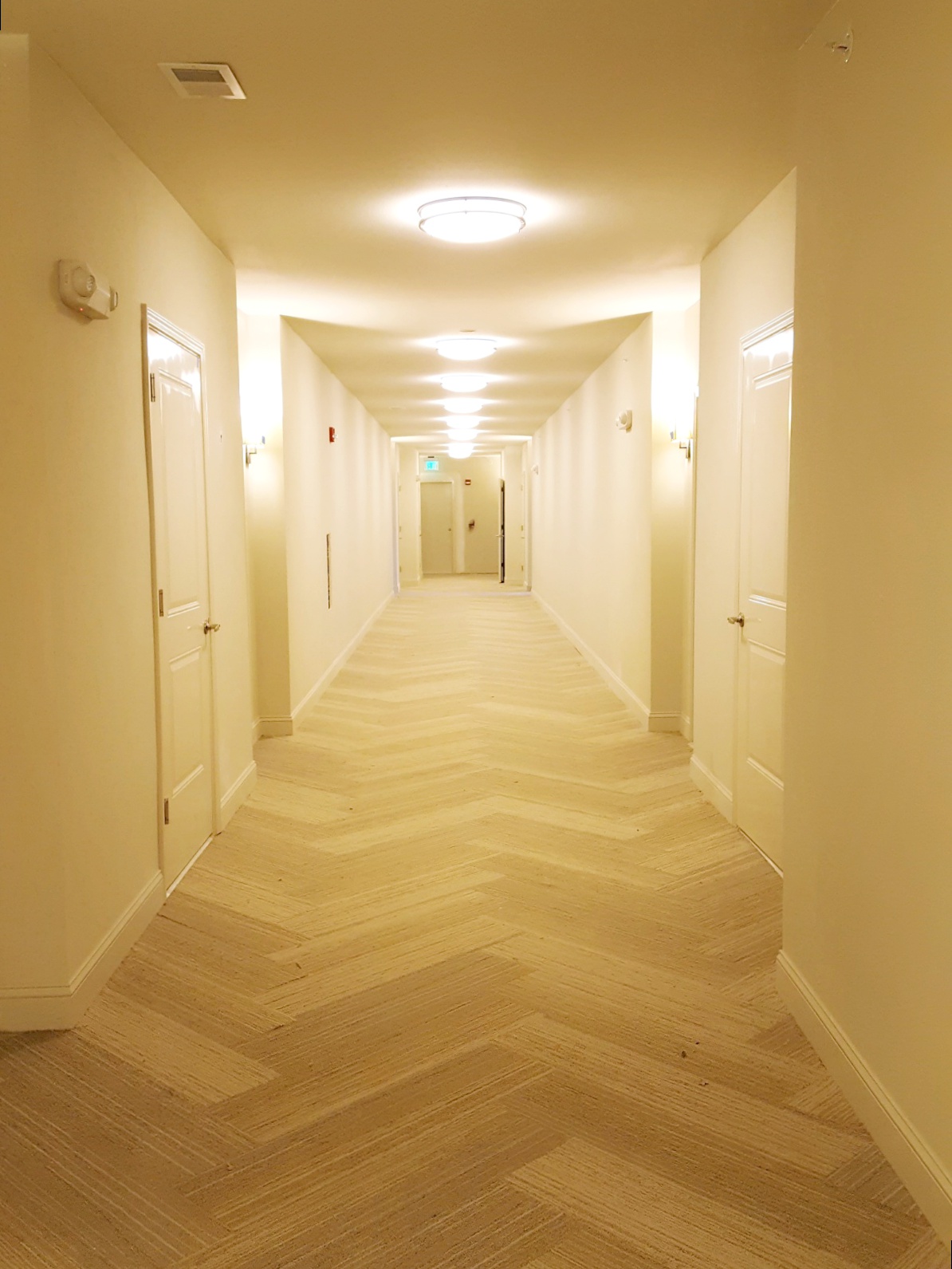 Hallways.jpg