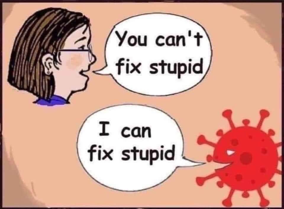 I can fix stoopid COVID.jpg