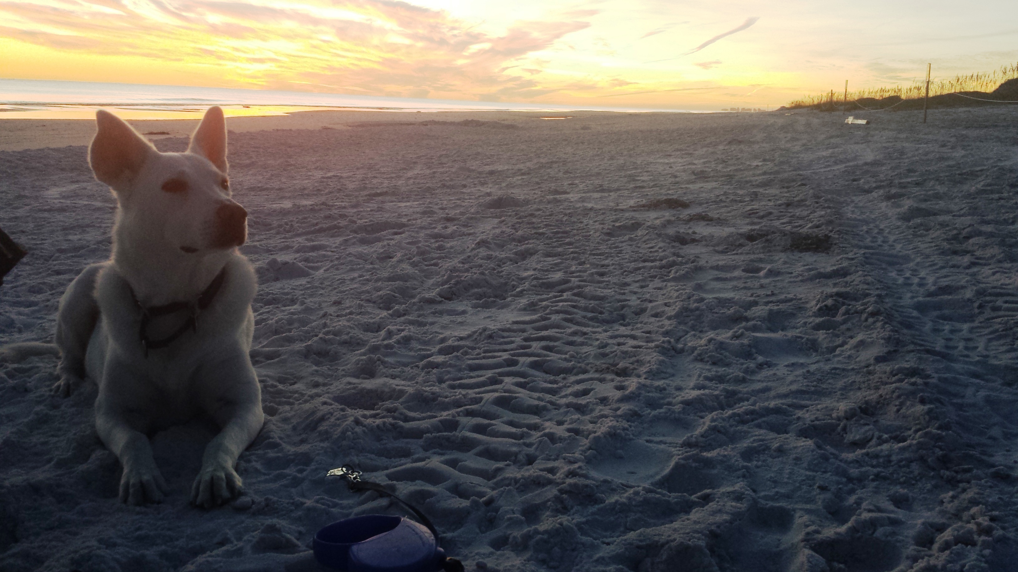 Jake Sunset Beach  looking sideways.jpg