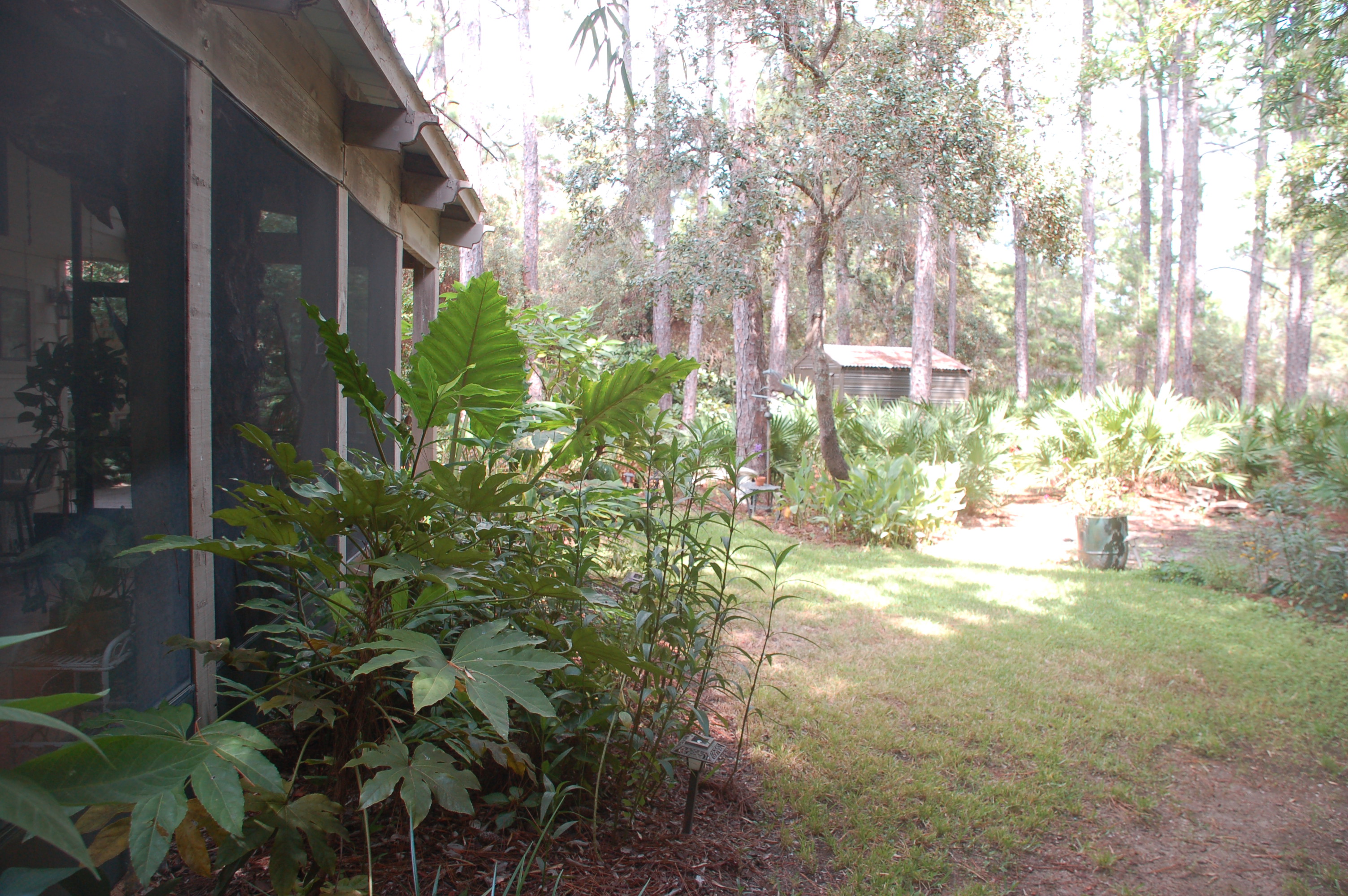 seagrove house 8 31 2011 039.JPG