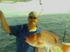bigsnapper2.jpg