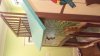 Shurf shack bunk.jpg