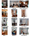 50 Sweet Bay Photo Montage 2 of 3.jpg