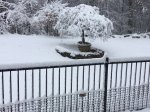 IMG_0233.JPG