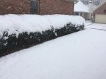IMG_0235.JPG