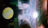 ForumRunner_20130417_222738.jpg