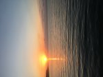 IMG_7179.JPG