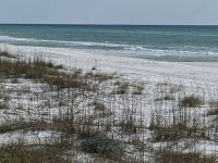 IMG_2045.jpeg