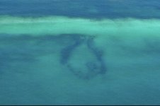 Emerald Ocean.jpg