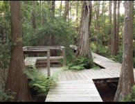 Nature Trail 2.jpg