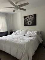 IMG_0452.jpeg