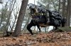 LS3-AlphaDog_reduced.jpg