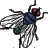 fly avatar