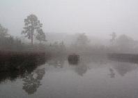 OnMackBayou avatar