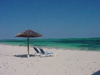 Beachlover2 avatar