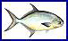 kingfishn avatar