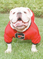 uga_beachbum avatar