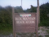 beachbunny avatar