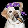 Seadog avatar