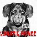 Lunatic Fringe avatar