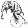 Elephant Child avatar
