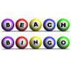 beachbingo avatar