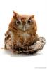 Emerald Coast Wildlife Refuge avatar