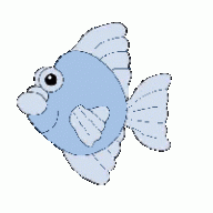 wishly avatar