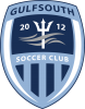GULFSOUTH Soccer avatar