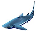 Copper avatar