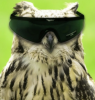 unclecarl avatar