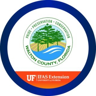 UF/IFAS Walton County avatar
