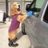 BeachyCleanCarWash avatar