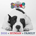 Dog-Harmony avatar