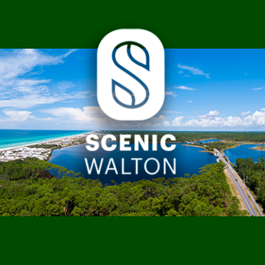 Scenic Walton avatar