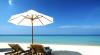 Seagrove Lover avatar