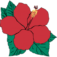 hibiscusflorida avatar