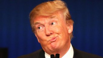 The Donald avatar