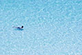 PoolGuy avatar