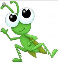 Grasshopper Lawn Care avatar