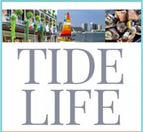 Gulf Coast Tide Life avatar