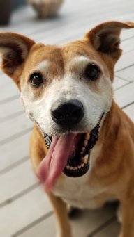 Zella avatar