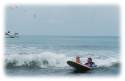 SurfFamily avatar