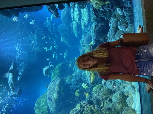Jordynpol avatar