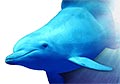 Hawkinsw597 avatar