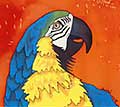 Alaqua Animal Refuge avatar